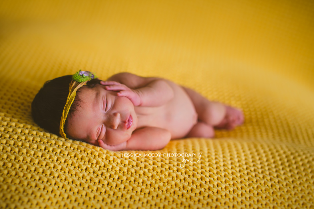 clayton ca newborn photographer